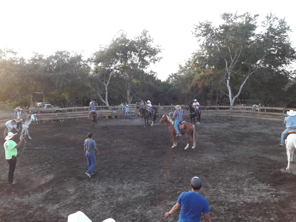 leetx-google-photo-67551-2 leetx-google-photo-67551-2