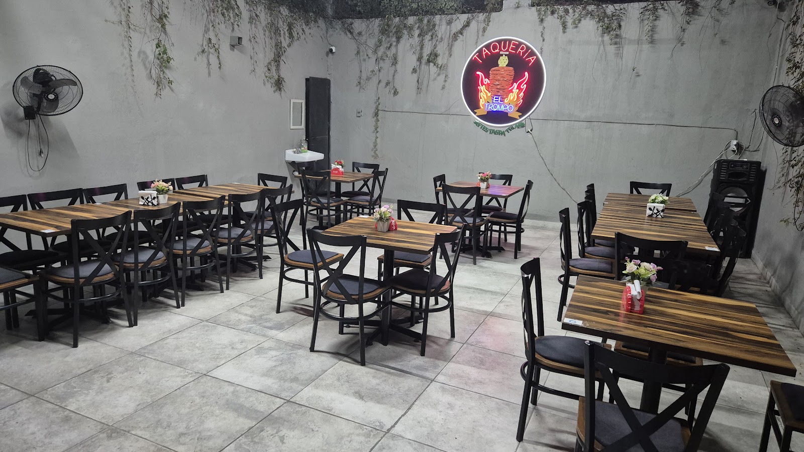 leetx-google-photo-67817-2 leetx-google-photo-67817-2