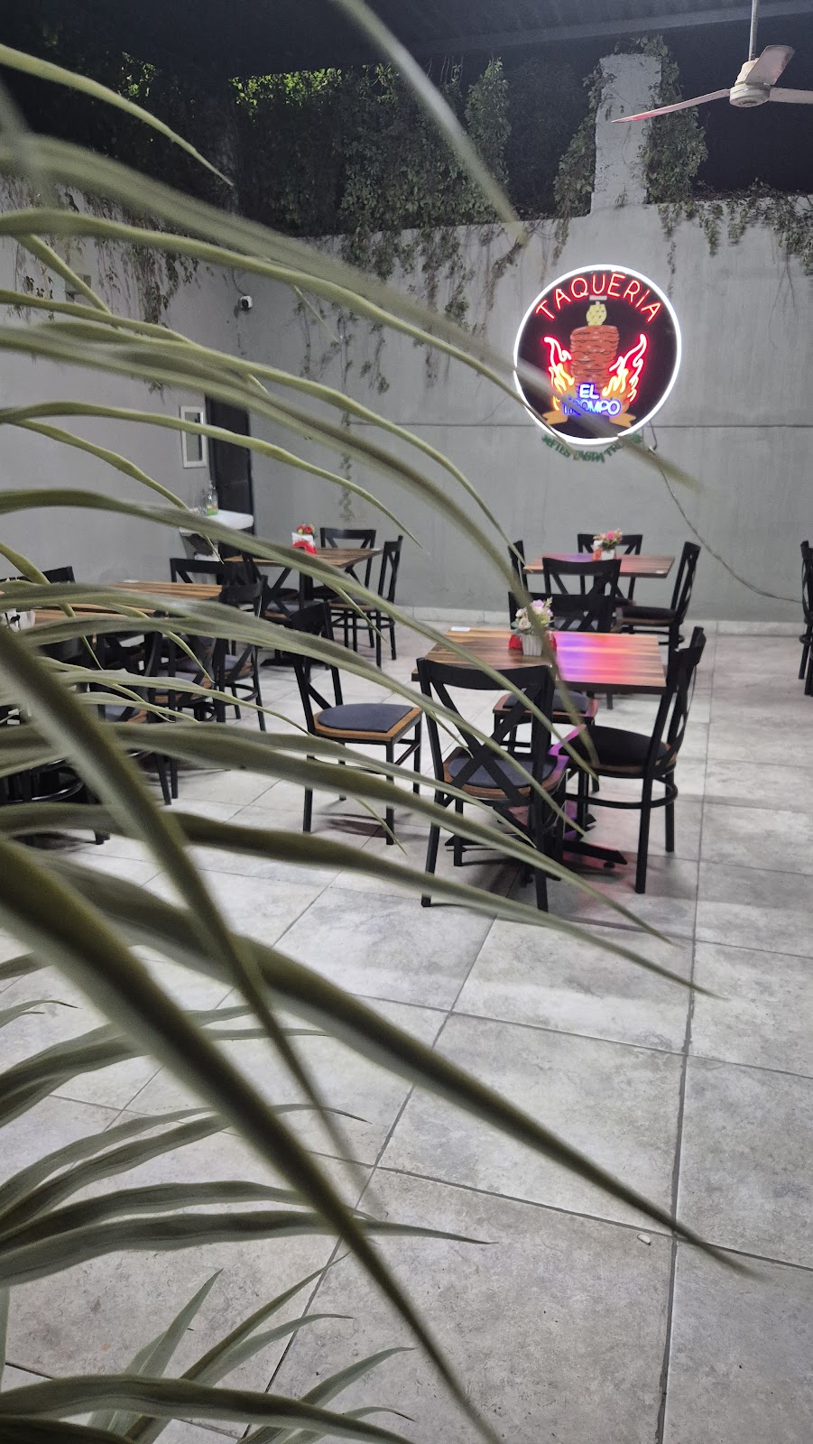 leetx-google-photo-67817-4 leetx-google-photo-67817-4