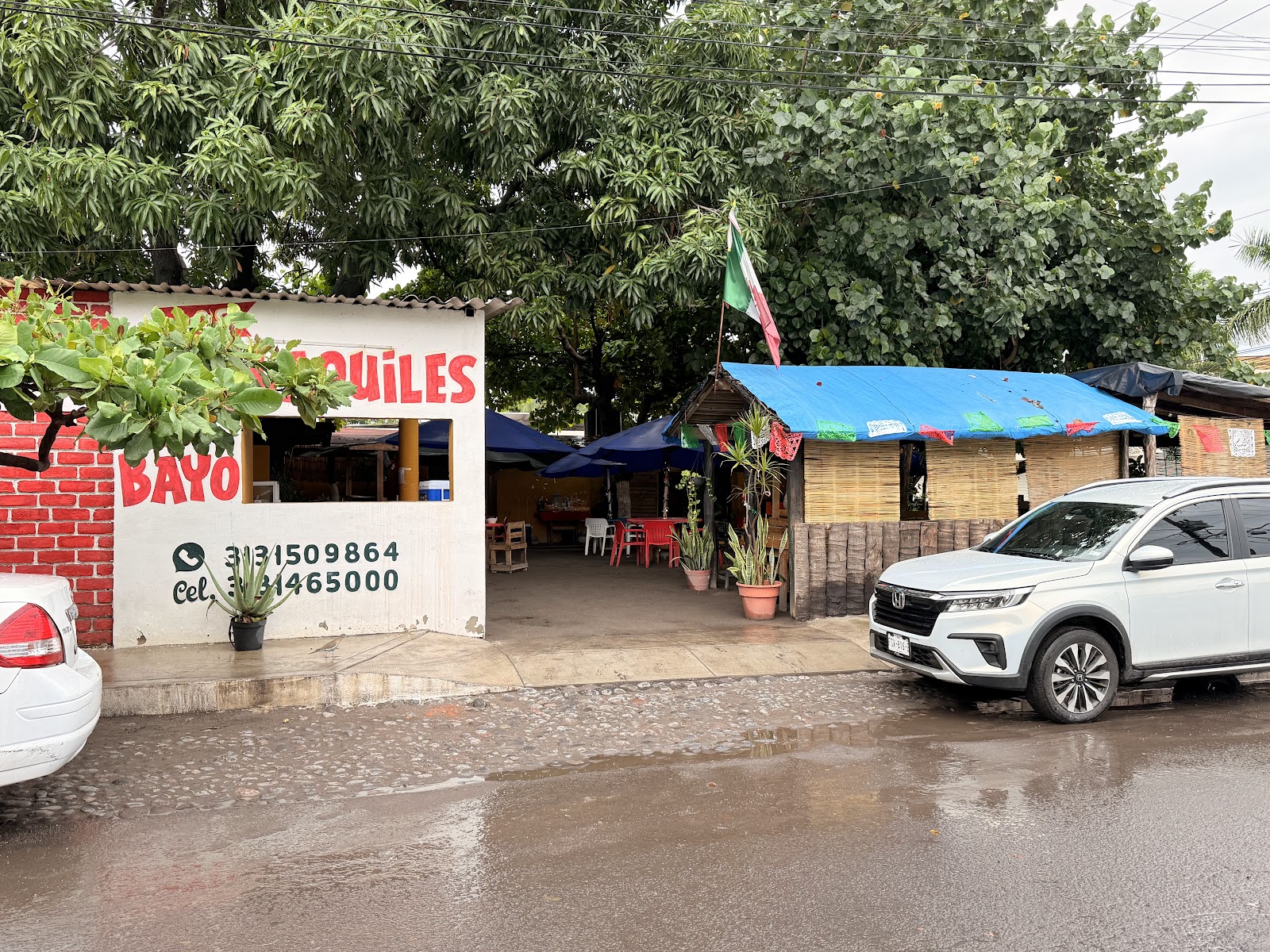 leetx-google-photo-68205-3 leetx-google-photo-68205-3