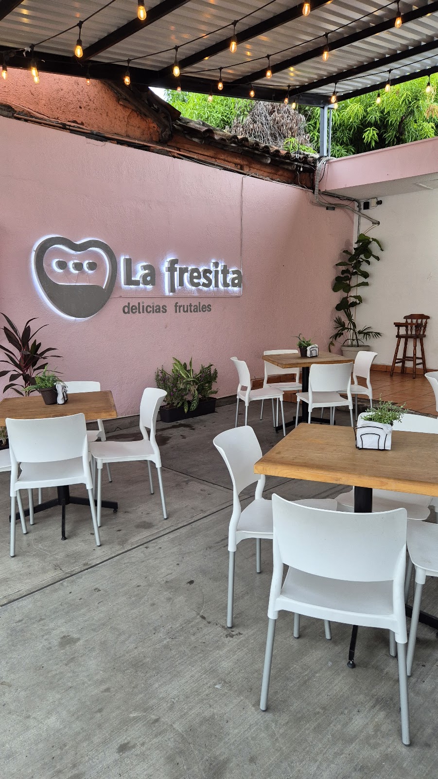 leetx-google-photo-68691-2 leetx-google-photo-68691-2