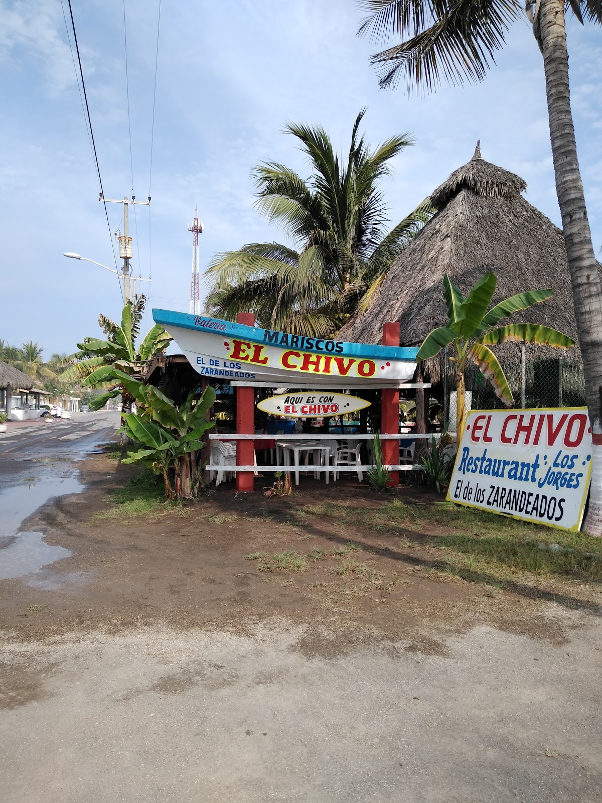 leetx-google-photo-68983-5 leetx-google-photo-68983-5