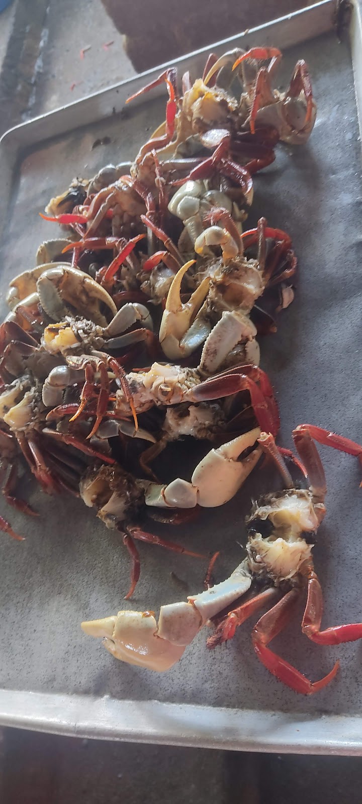 leetx-google-photo-68983-6 leetx-google-photo-68983-6