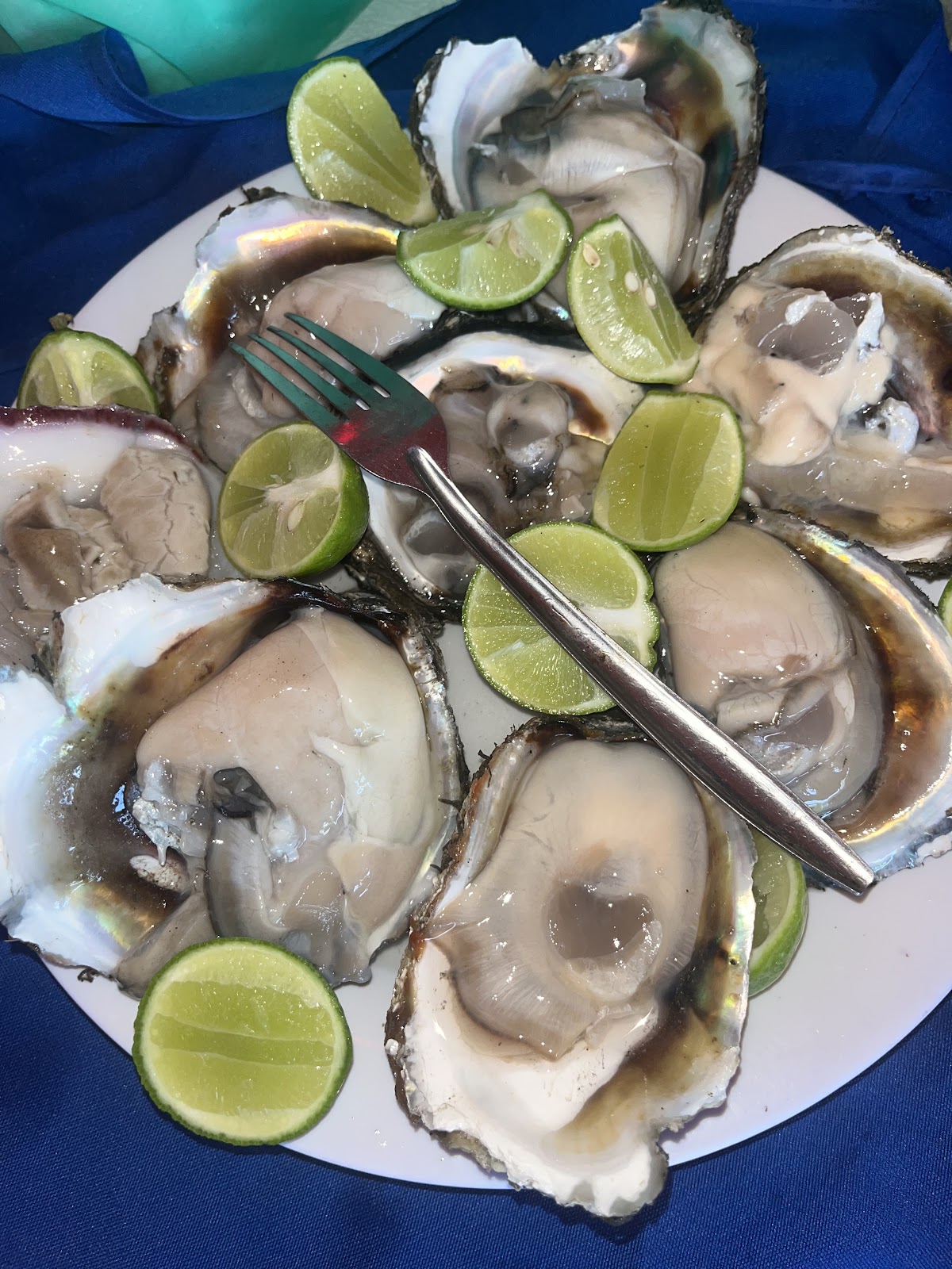 leetx-google-photo-69070-5 leetx-google-photo-69070-5