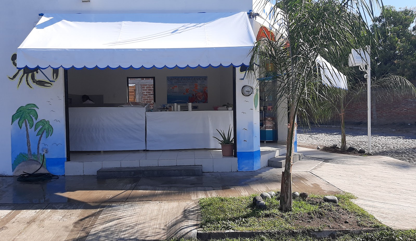 leetx-google-photo-69107-3 leetx-google-photo-69107-3