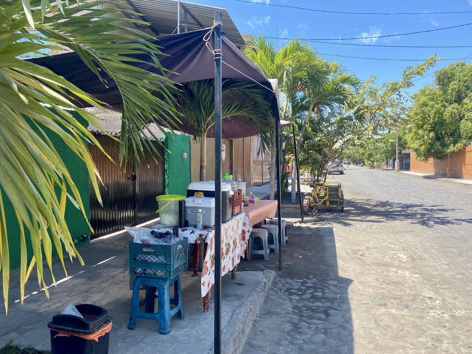 leetx-google-photo-70144-3 leetx-google-photo-70144-3