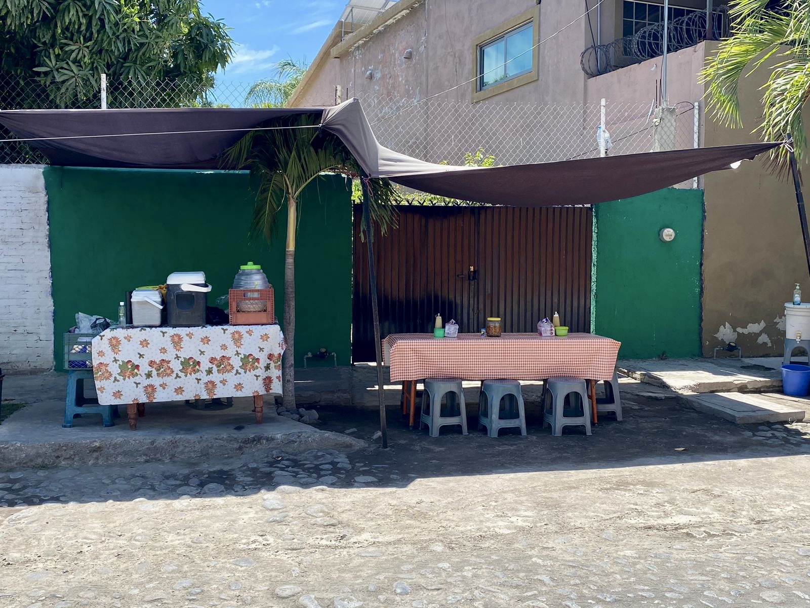 leetx-google-photo-70144-7 leetx-google-photo-70144-7