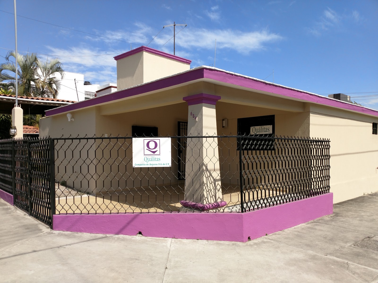 leetx-google-photo-70899-5 leetx-google-photo-70899-5