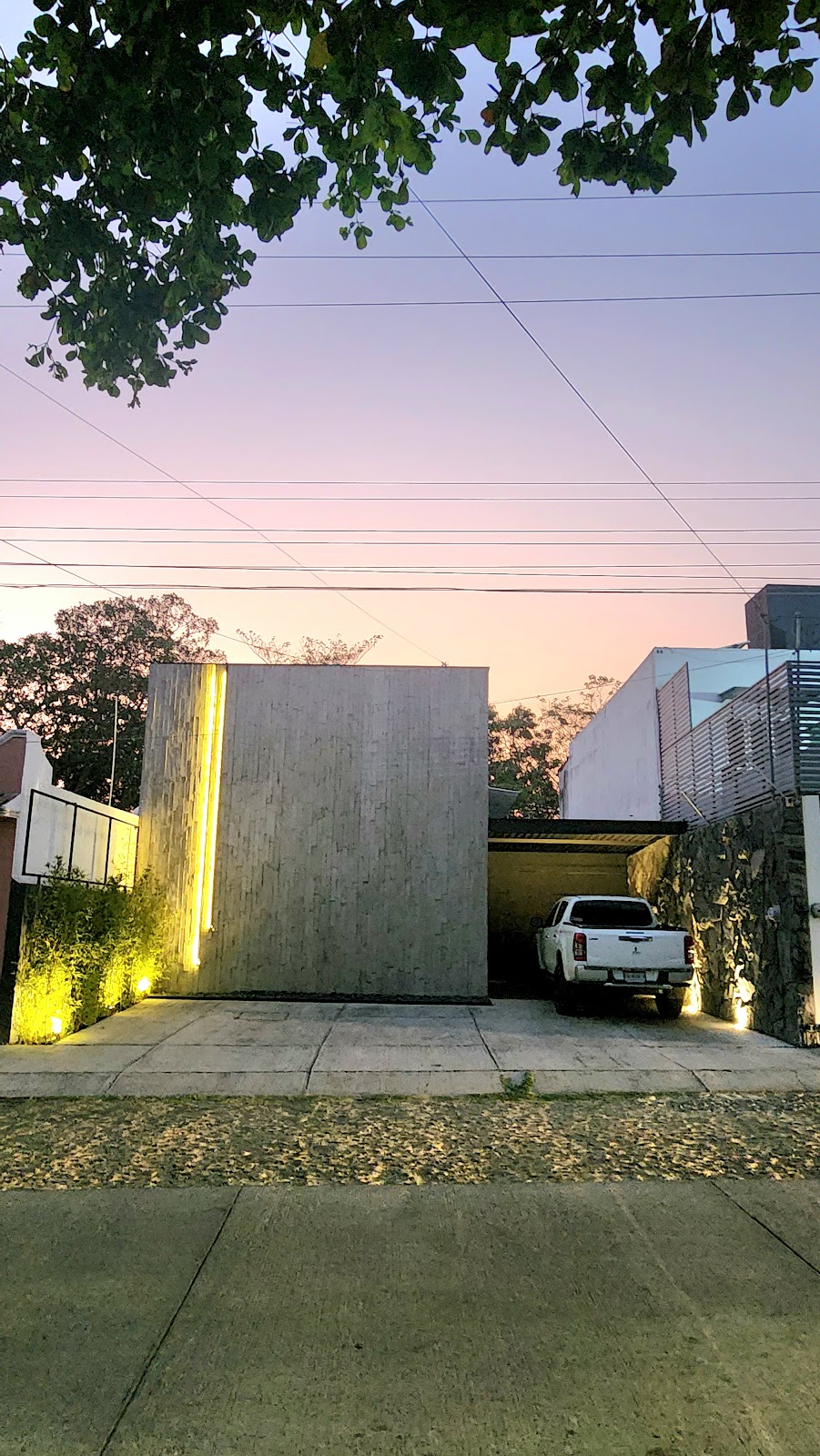 leetx-google-photo-71250-3 leetx-google-photo-71250-3