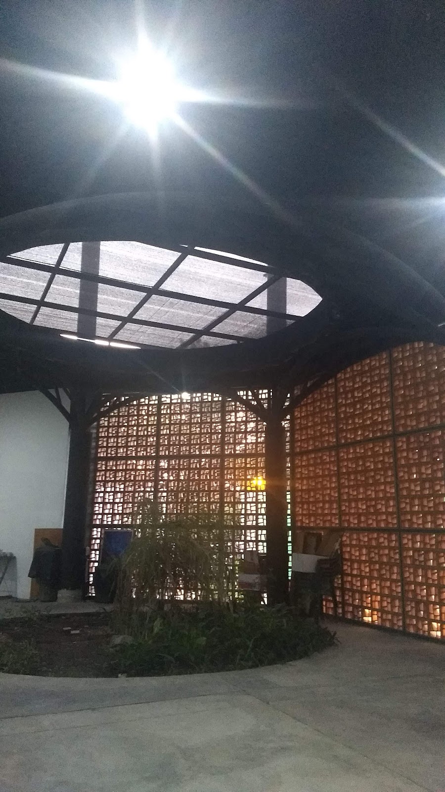 leetx-google-photo-71403-4-1 leetx-google-photo-71403-4-1