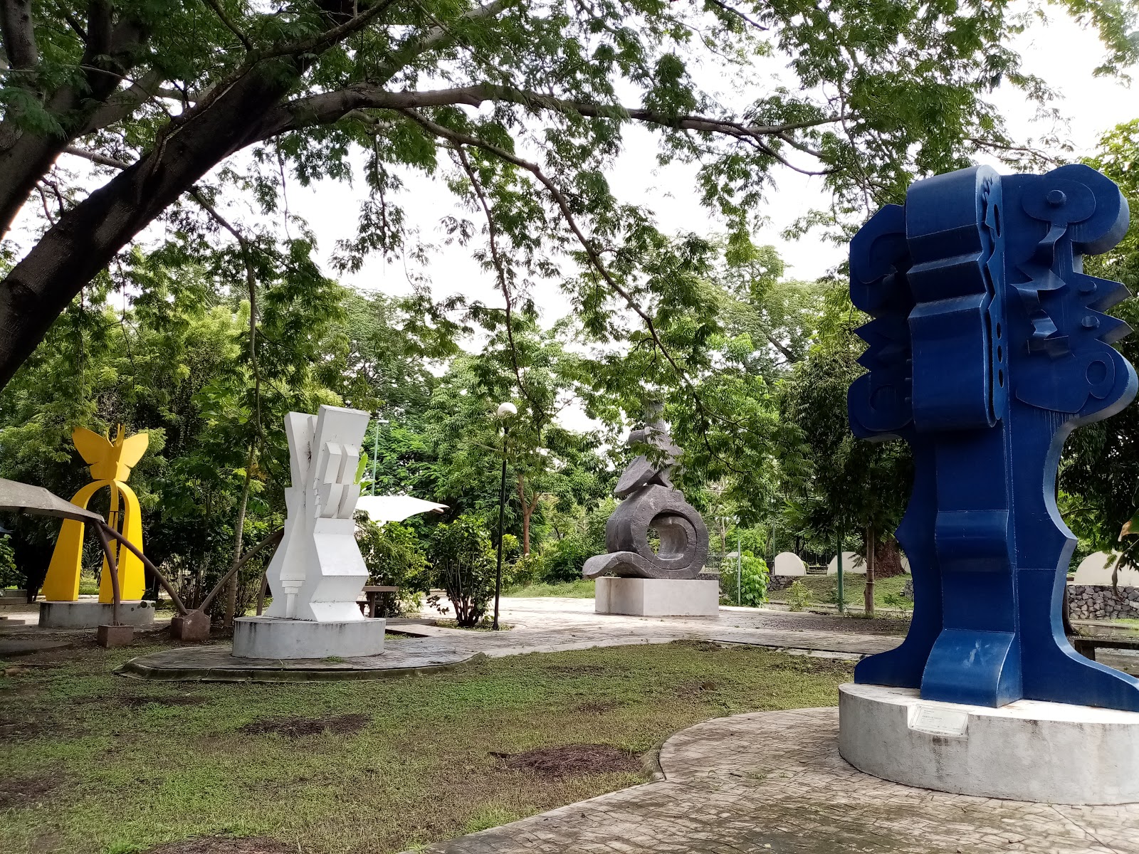 leetx-google-photo-71580-3 leetx-google-photo-71580-3