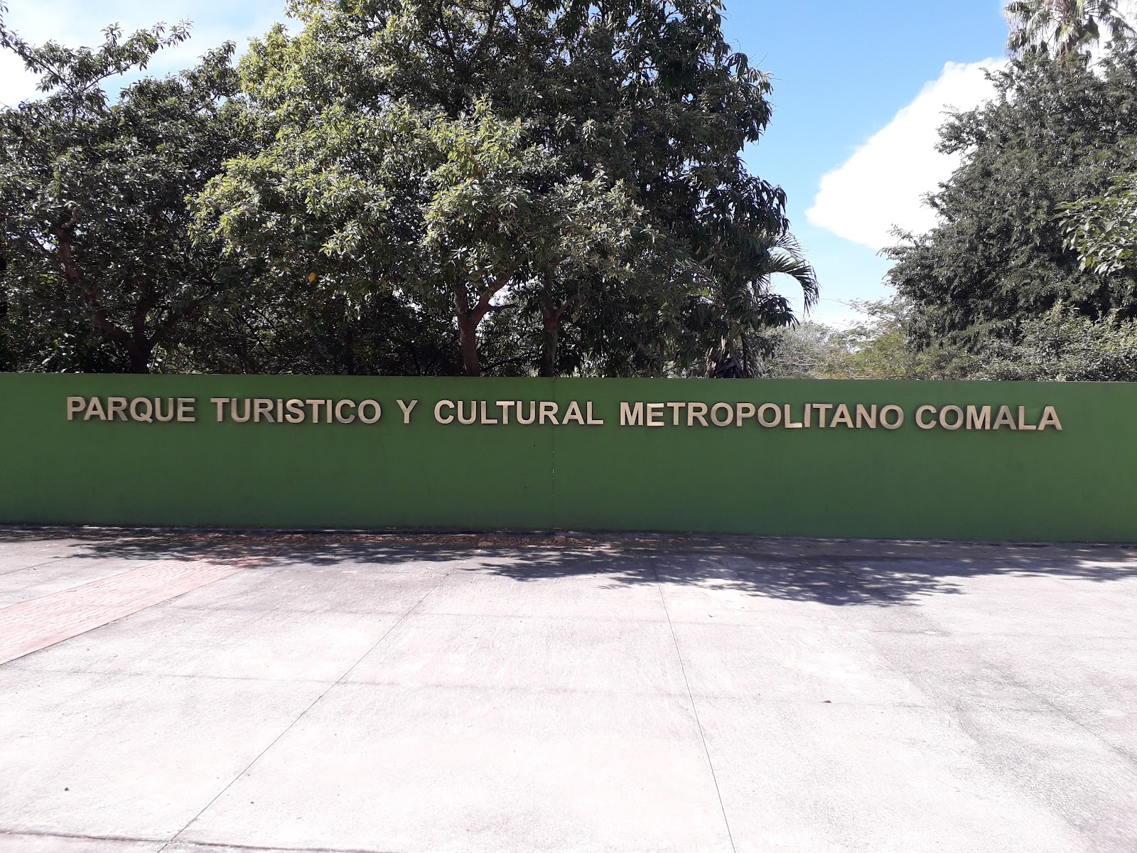 leetx-google-photo-71580-8 leetx-google-photo-71580-8