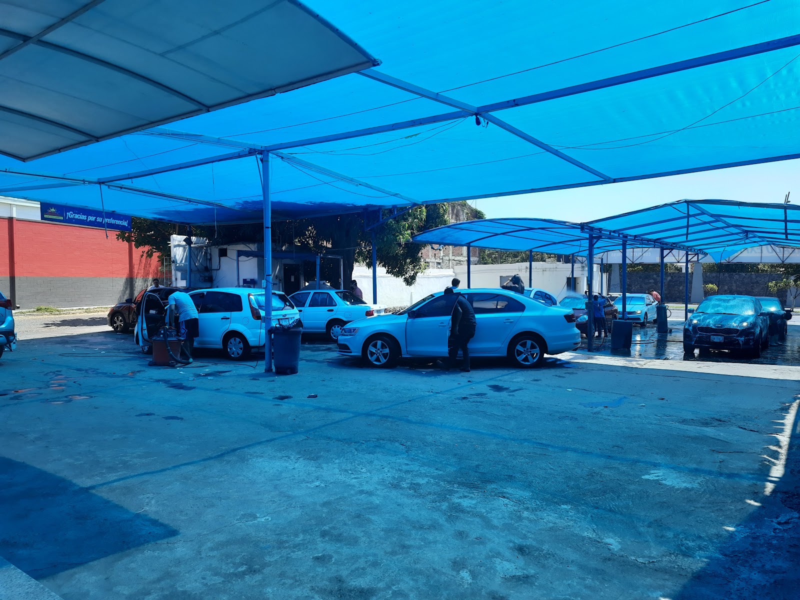 leetx-google-photo-71887-3 leetx-google-photo-71887-3