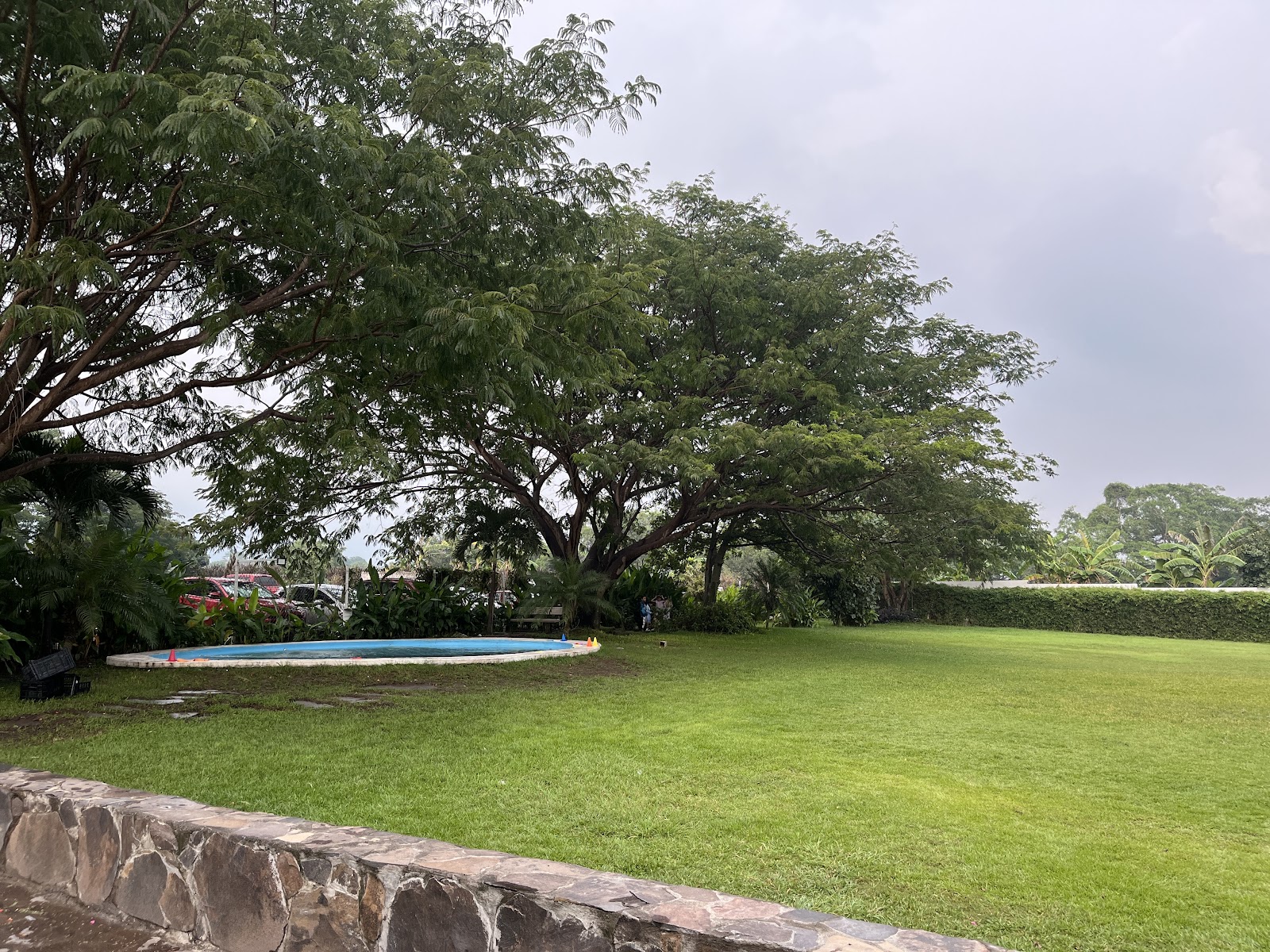 leetx-google-photo-72276-5 leetx-google-photo-72276-5