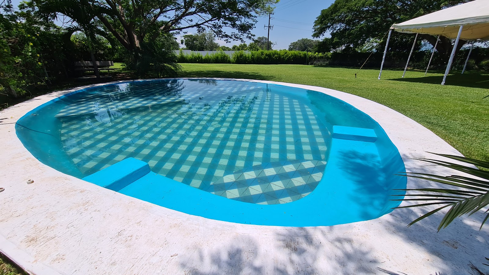 leetx-google-photo-72276-7 leetx-google-photo-72276-7