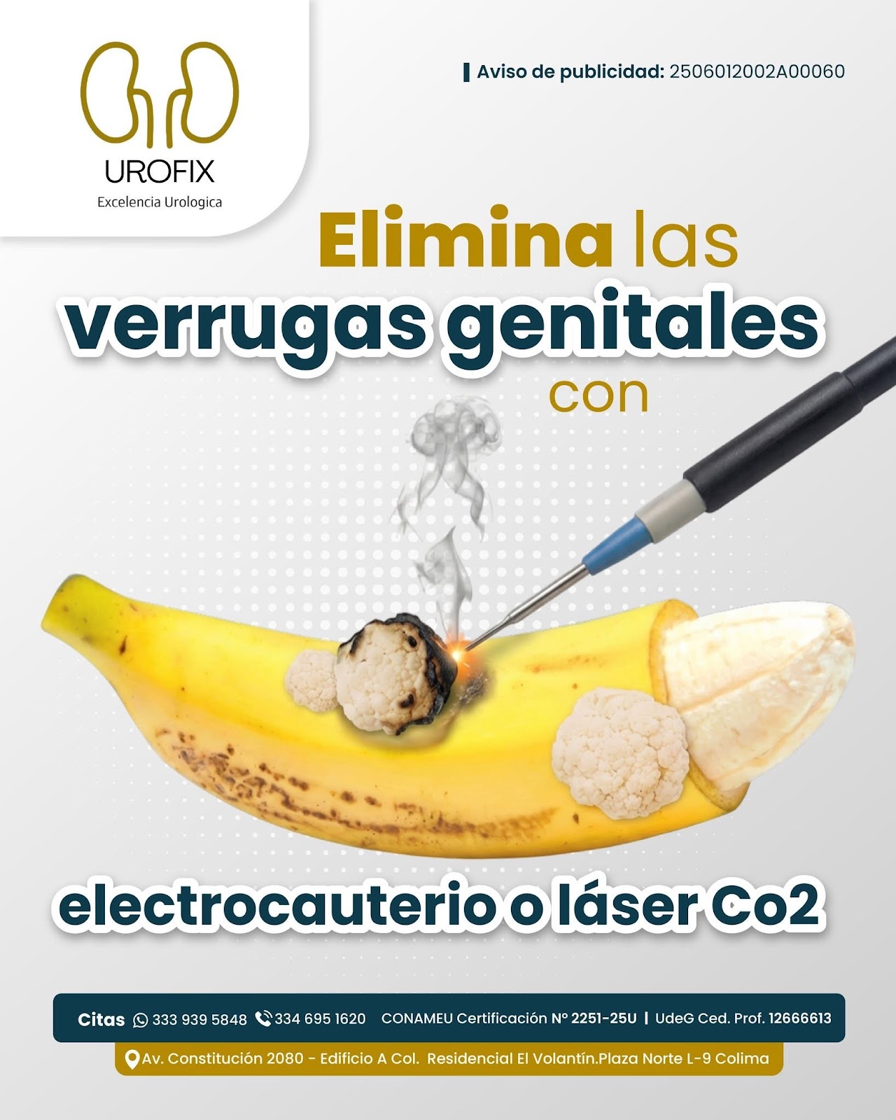 leetx-google-photo-74698-5 leetx-google-photo-74698-5