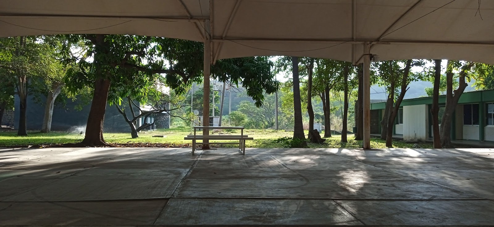 leetx-google-photo-75059-2 leetx-google-photo-75059-2