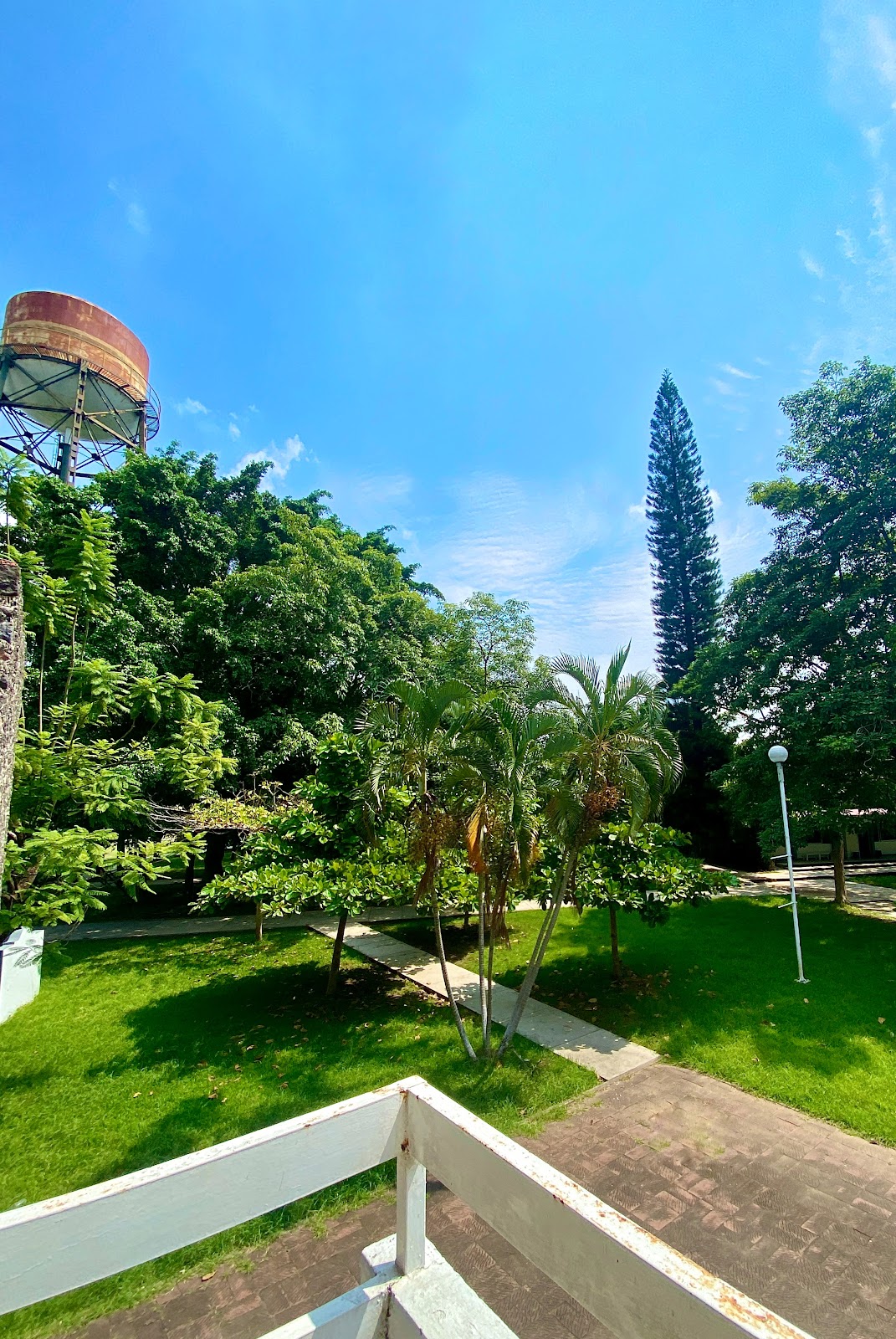 leetx-google-photo-75059-3 leetx-google-photo-75059-3