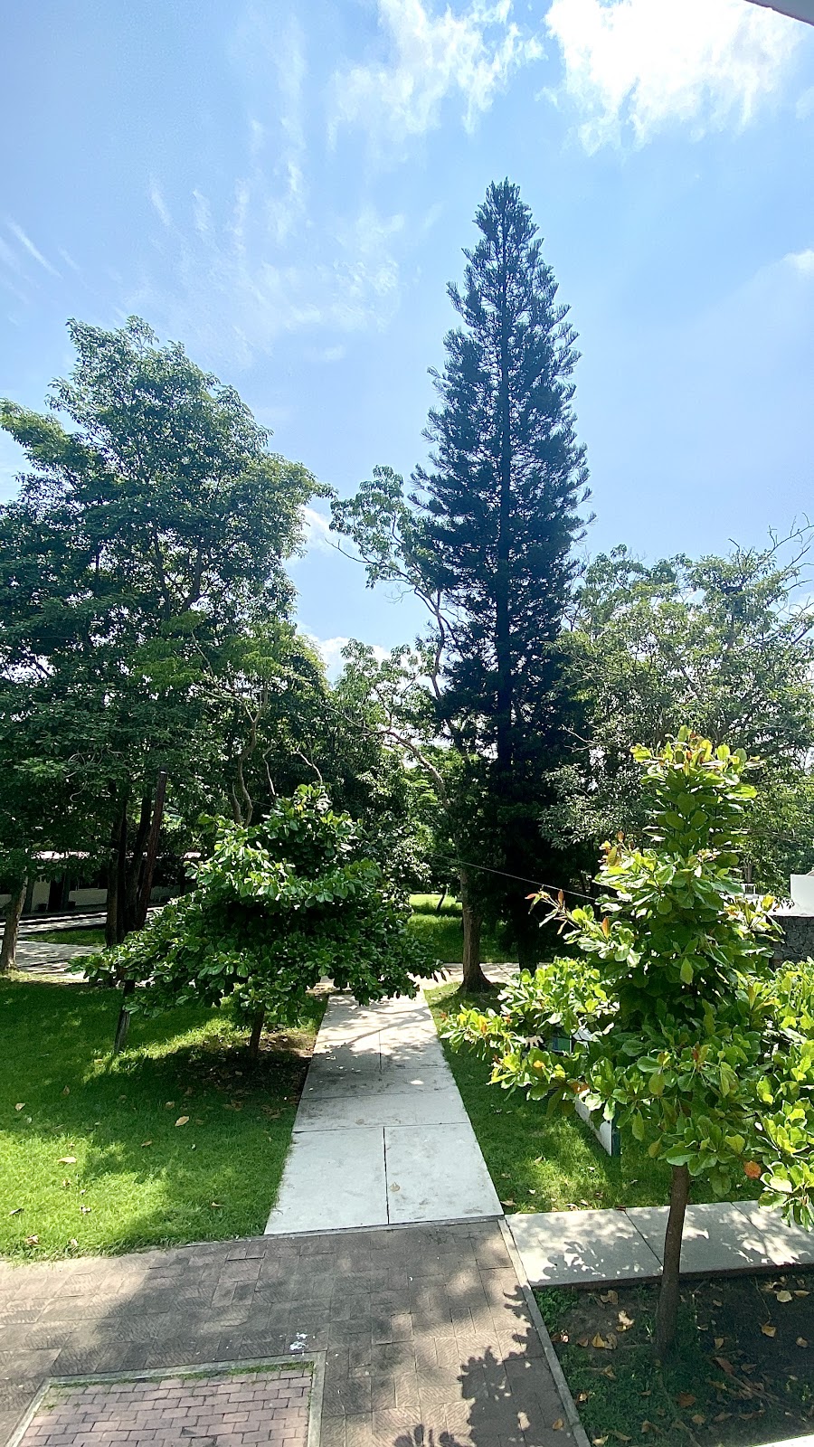 leetx-google-photo-75059-5 leetx-google-photo-75059-5