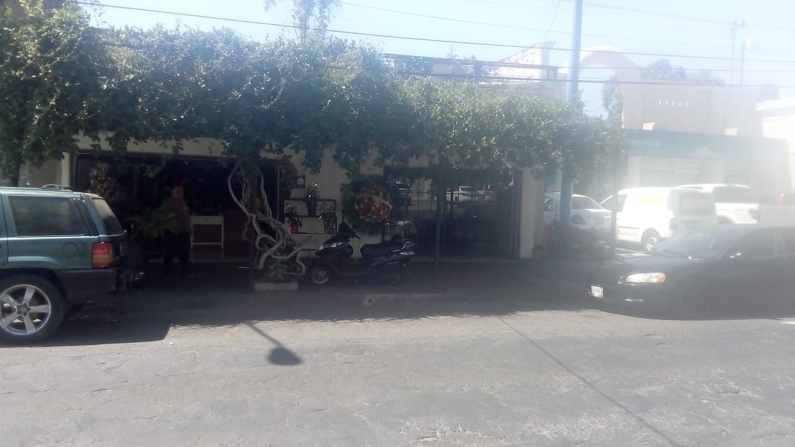 leetx-google-photo-75403-2 leetx-google-photo-75403-2