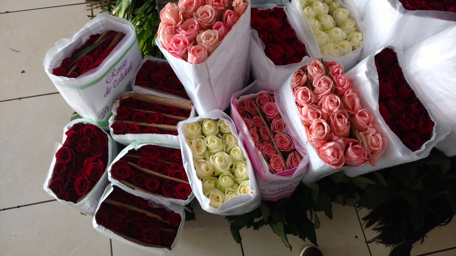 leetx-google-photo-75628-4 leetx-google-photo-75628-4