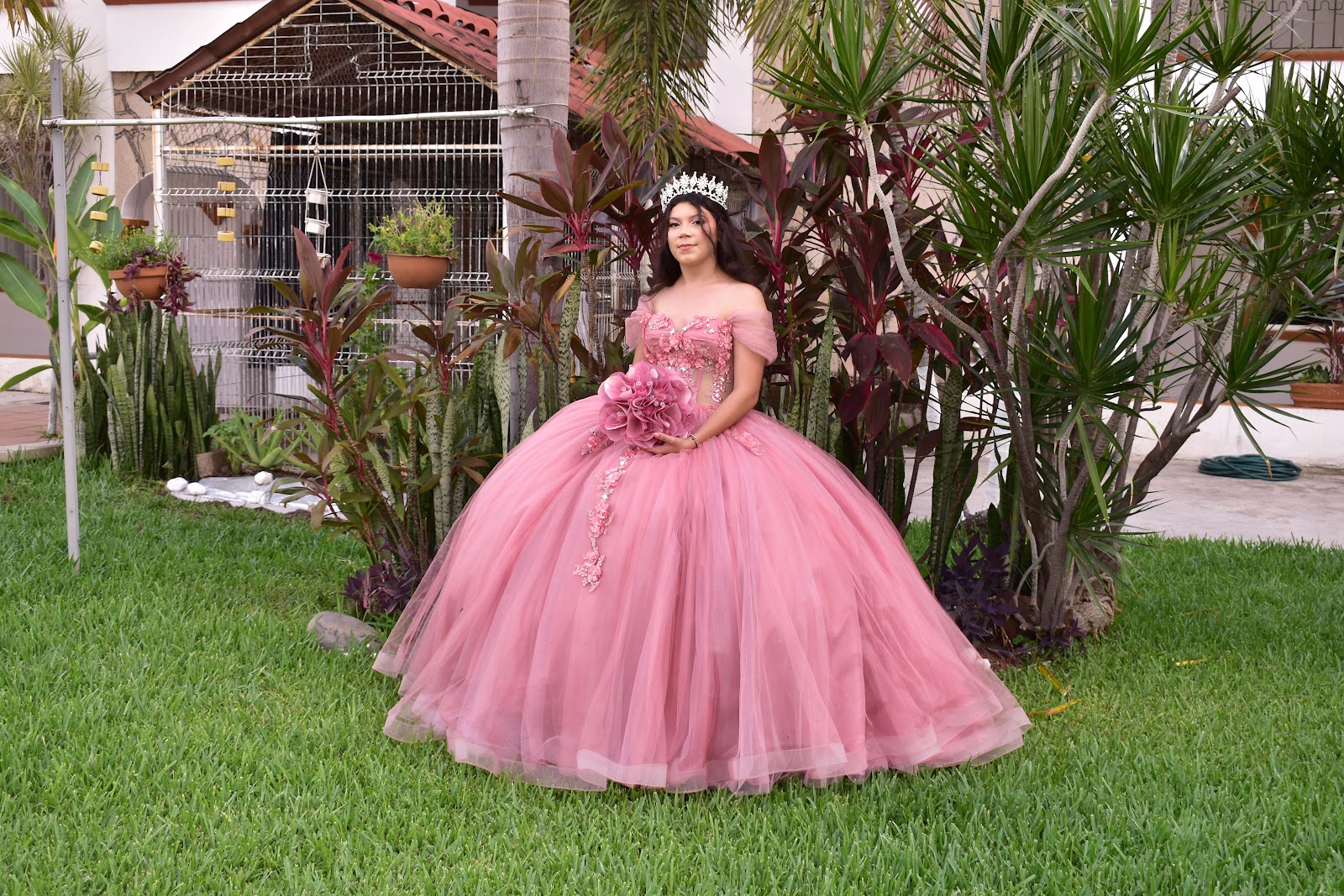 leetx-google-photo-75954-2 leetx-google-photo-75954-2