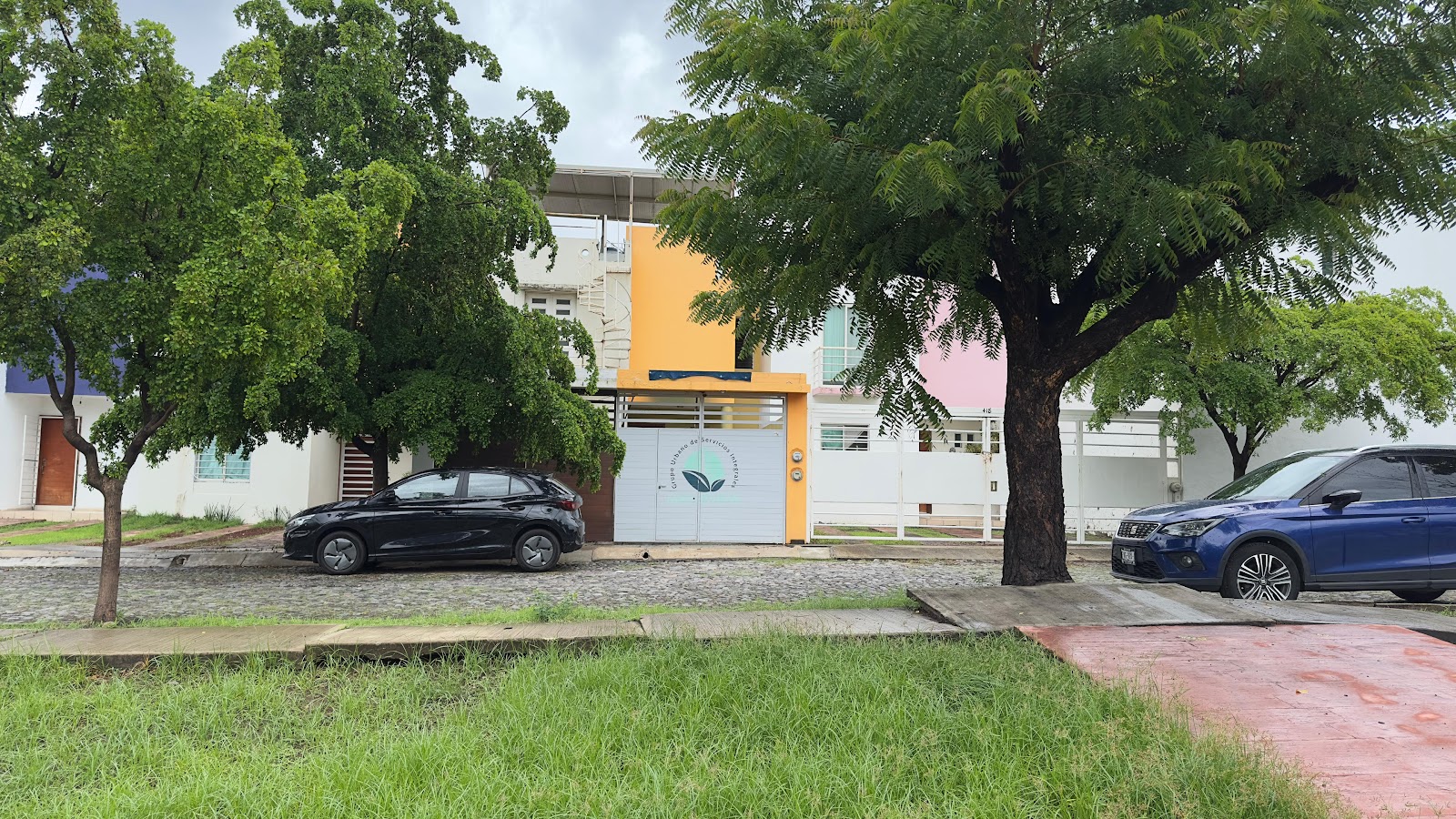 leetx-google-photo-76124-4 leetx-google-photo-76124-4