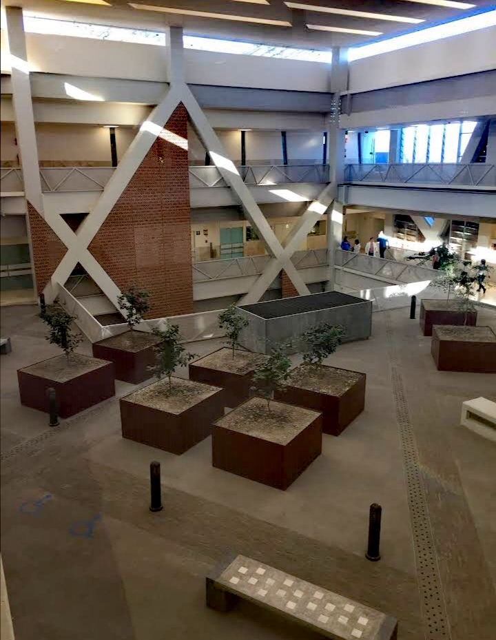 leetx-google-photo-76737-3-1 leetx-google-photo-76737-3-1