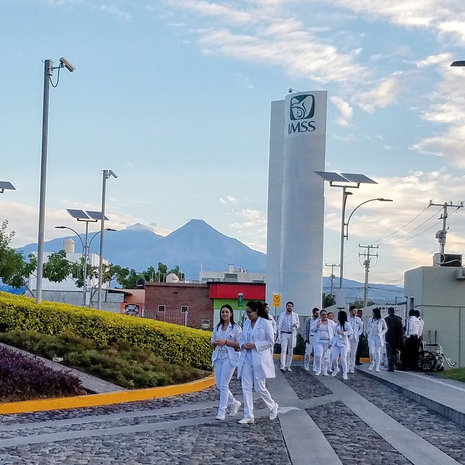 leetx-google-photo-76737-8-1 leetx-google-photo-76737-8-1