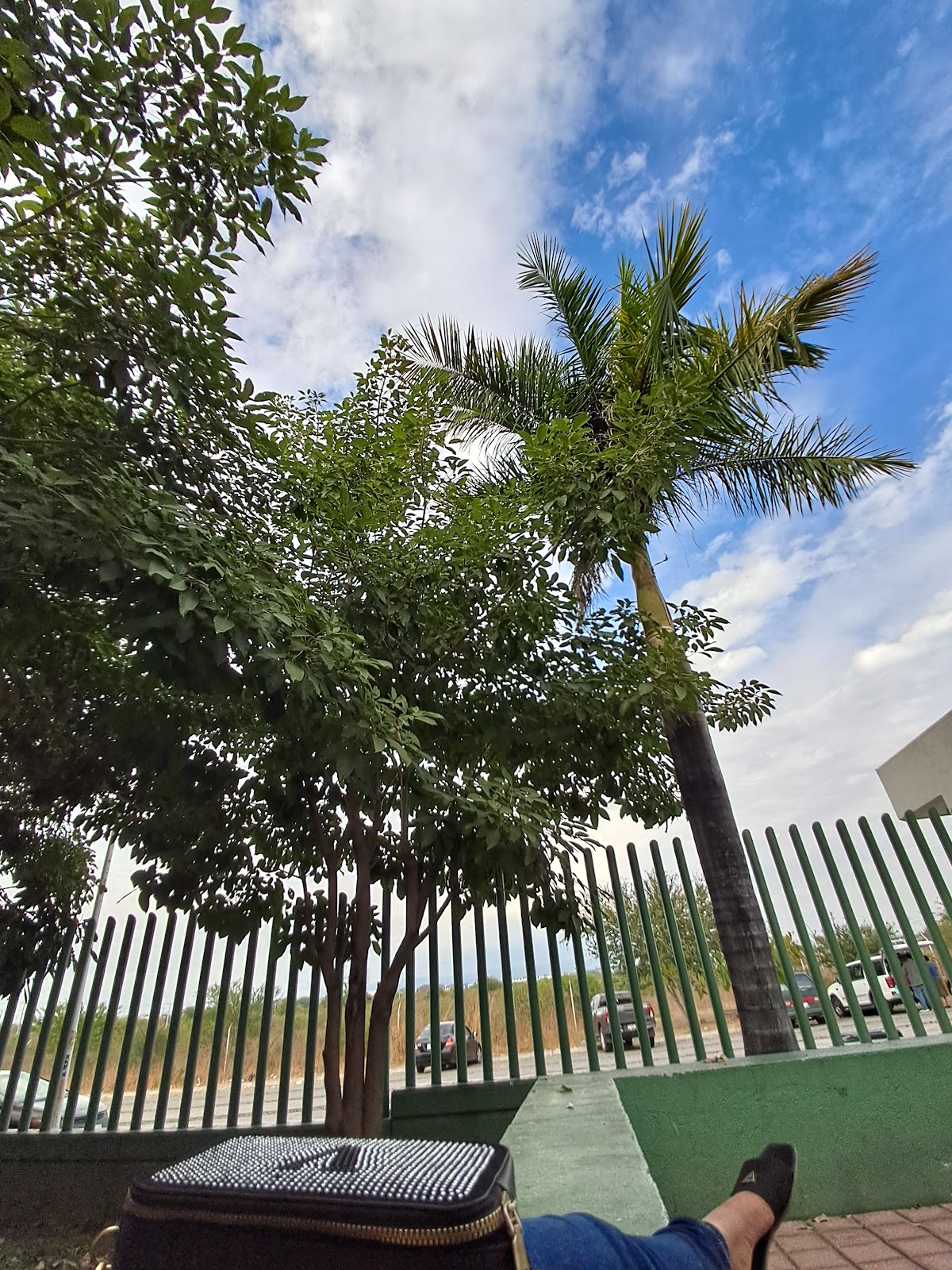 leetx-google-photo-76789-8 leetx-google-photo-76789-8