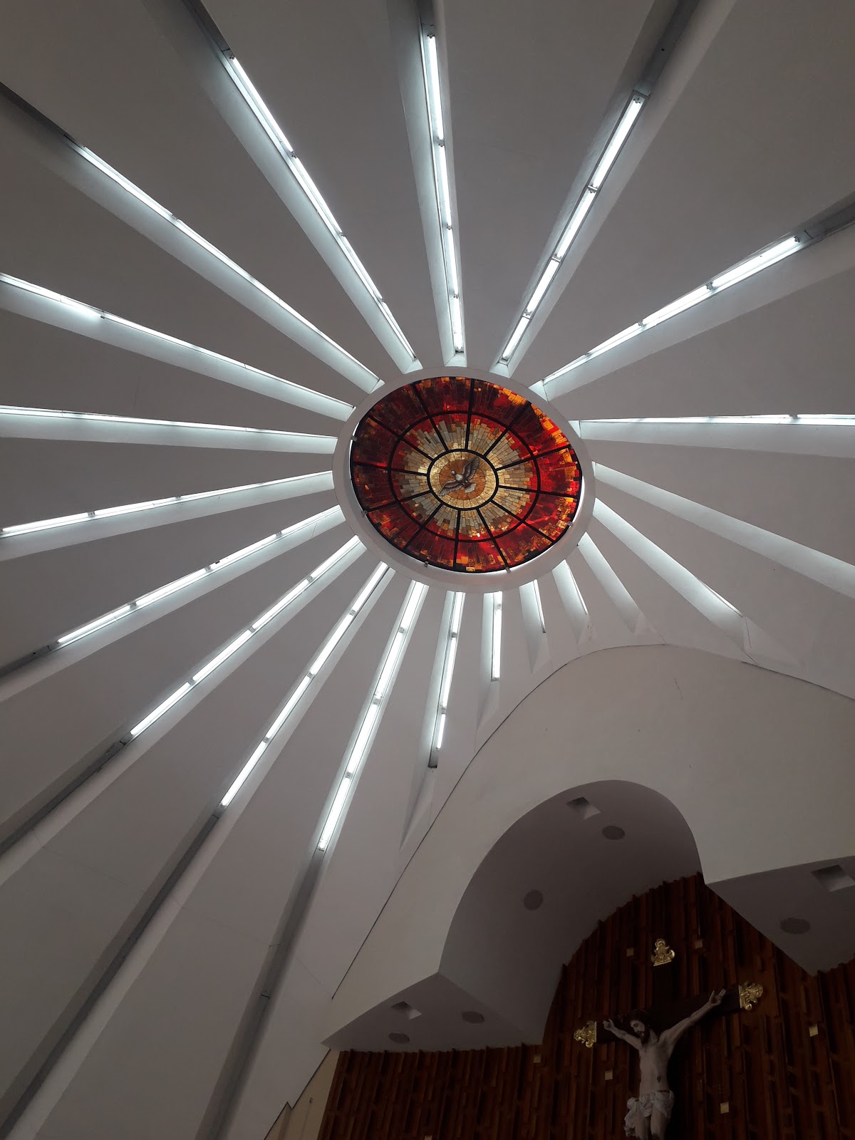 leetx-google-photo-77524-7 leetx-google-photo-77524-7