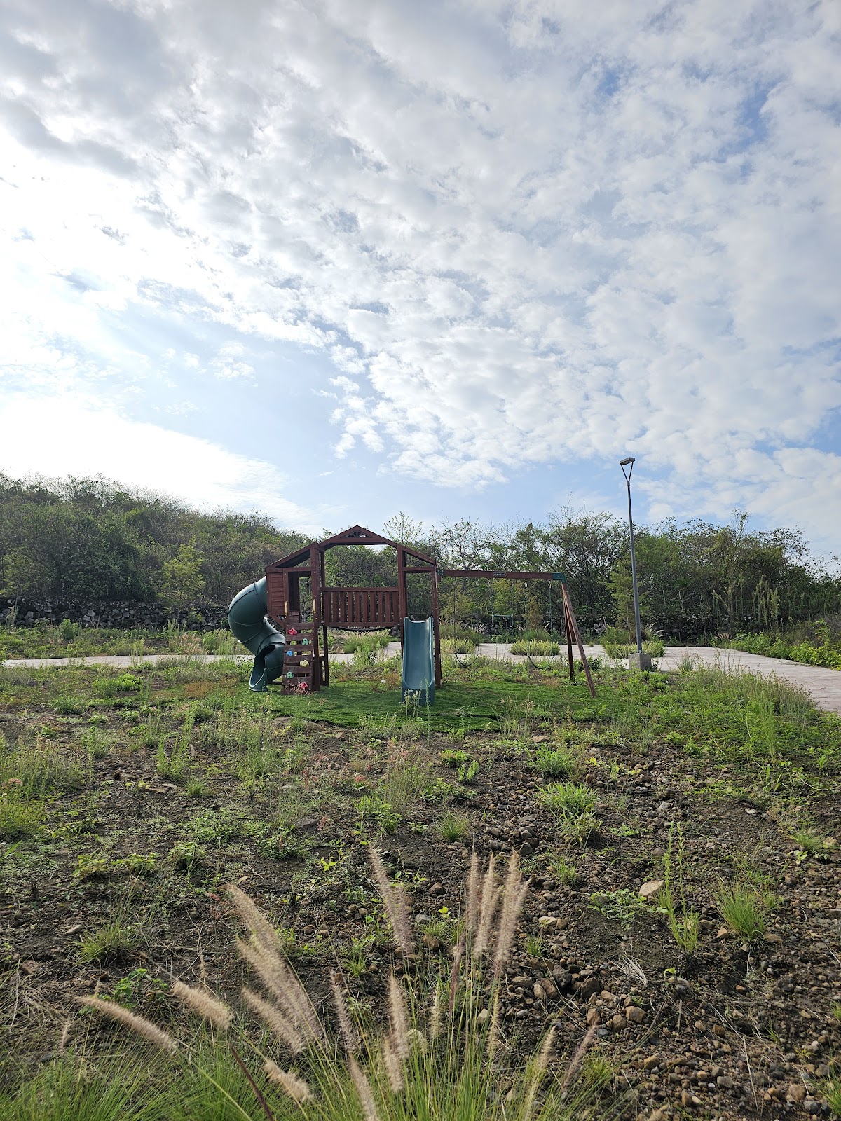 leetx-google-photo-78632-2 leetx-google-photo-78632-2