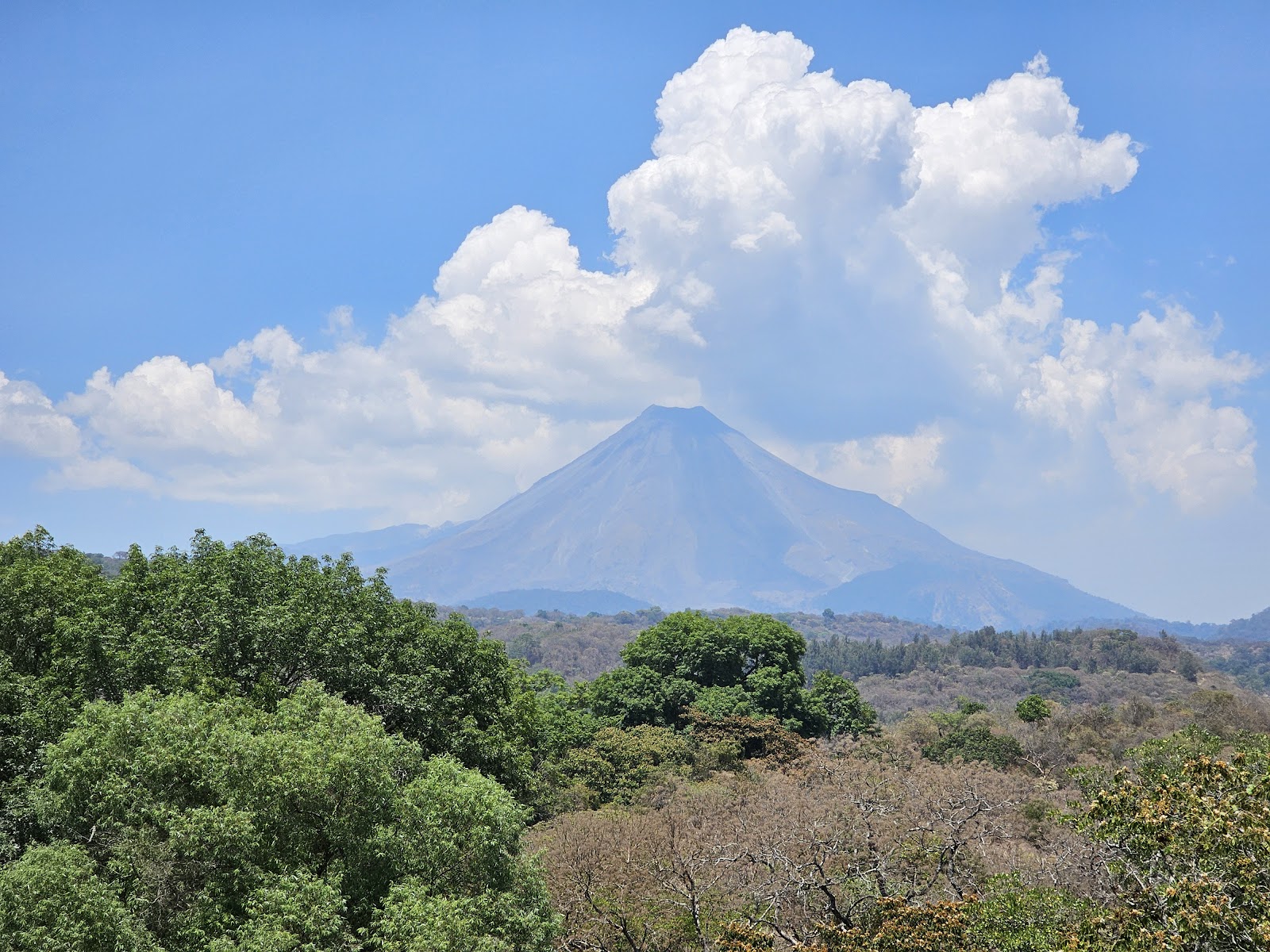 leetx-google-photo-78632-3 leetx-google-photo-78632-3