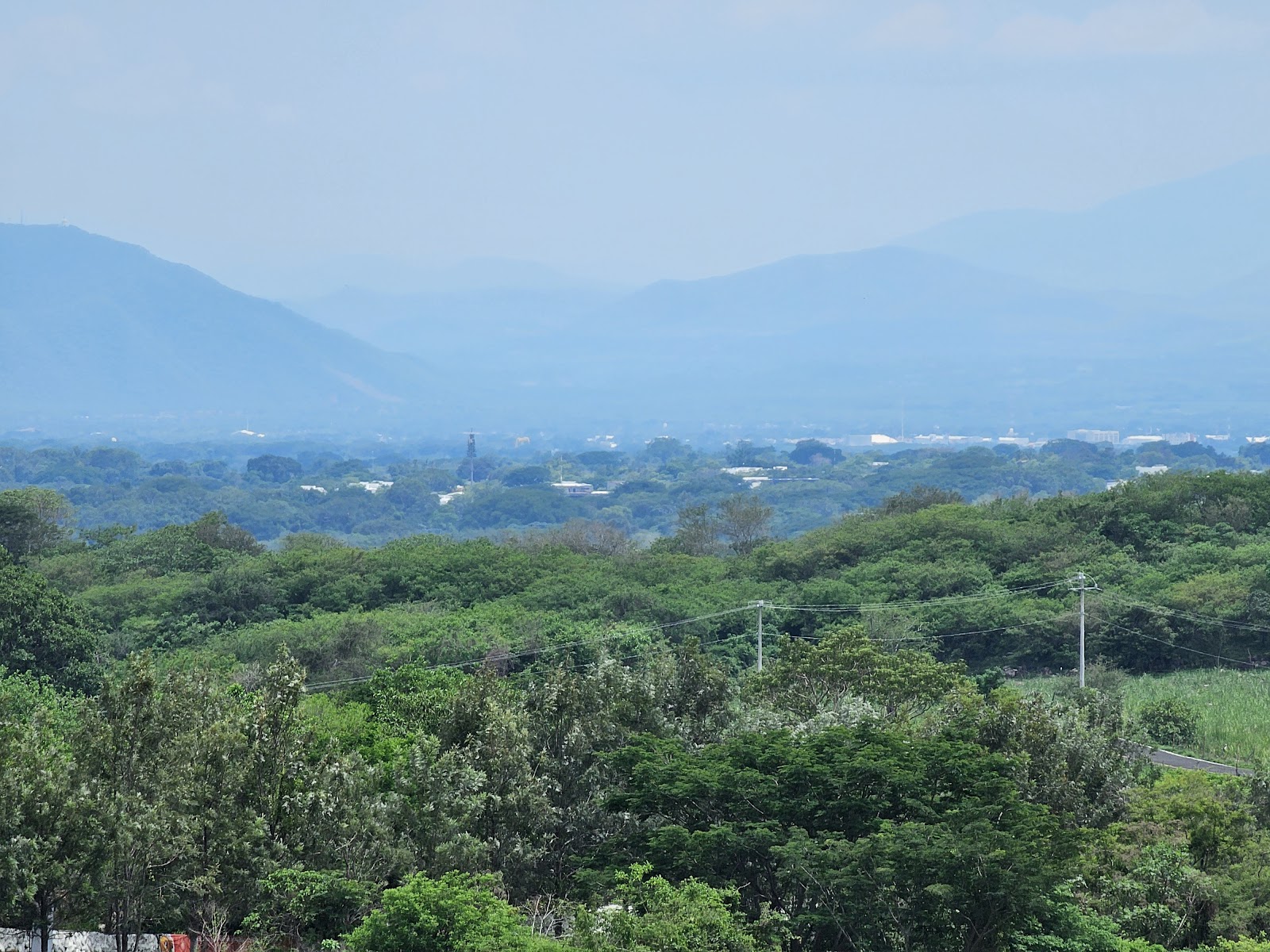 leetx-google-photo-78632-4 leetx-google-photo-78632-4