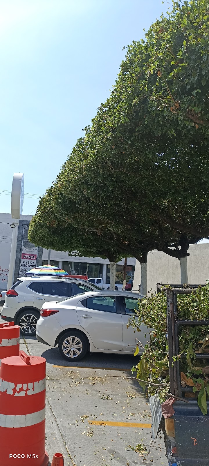 leetx-google-photo-78772-4 leetx-google-photo-78772-4