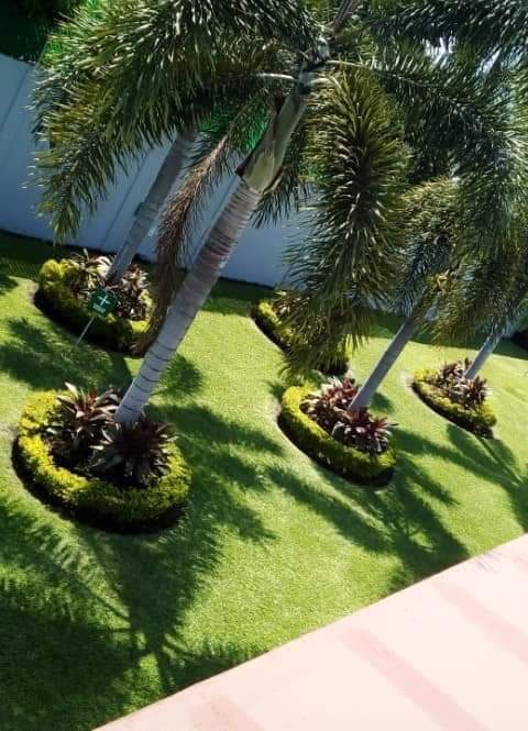 leetx-google-photo-78772-6 leetx-google-photo-78772-6