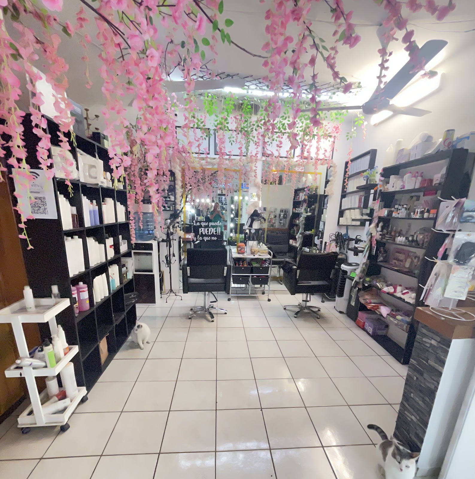 leetx-google-photo-80185-5 leetx-google-photo-80185-5