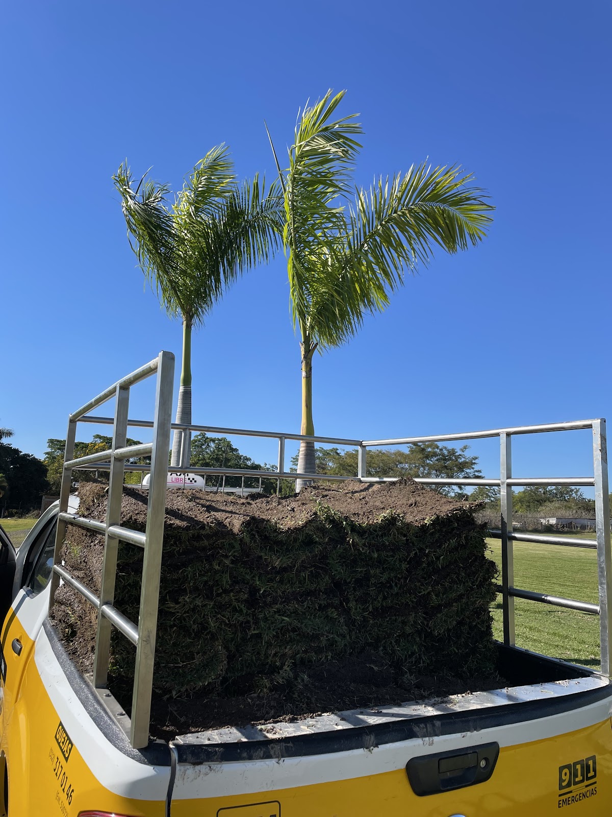 leetx-google-photo-80212-4 leetx-google-photo-80212-4