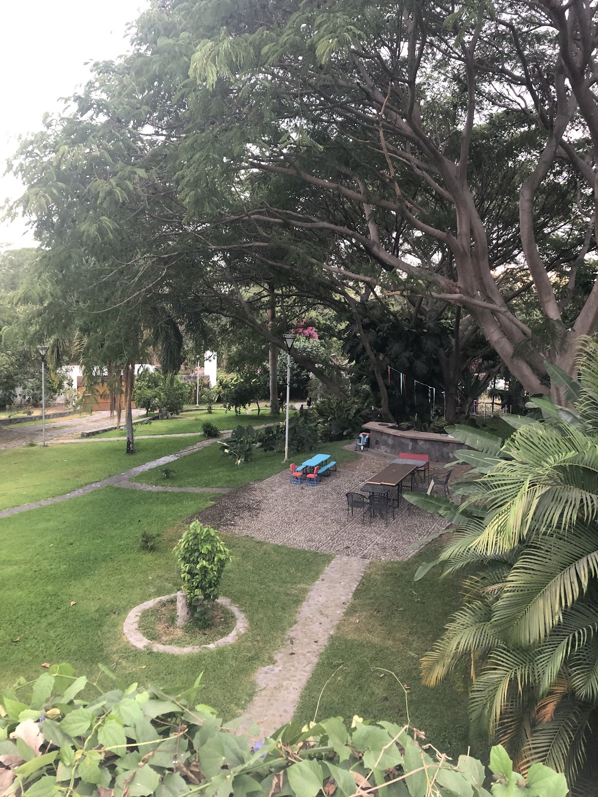 leetx-google-photo-81289-2 leetx-google-photo-81289-2