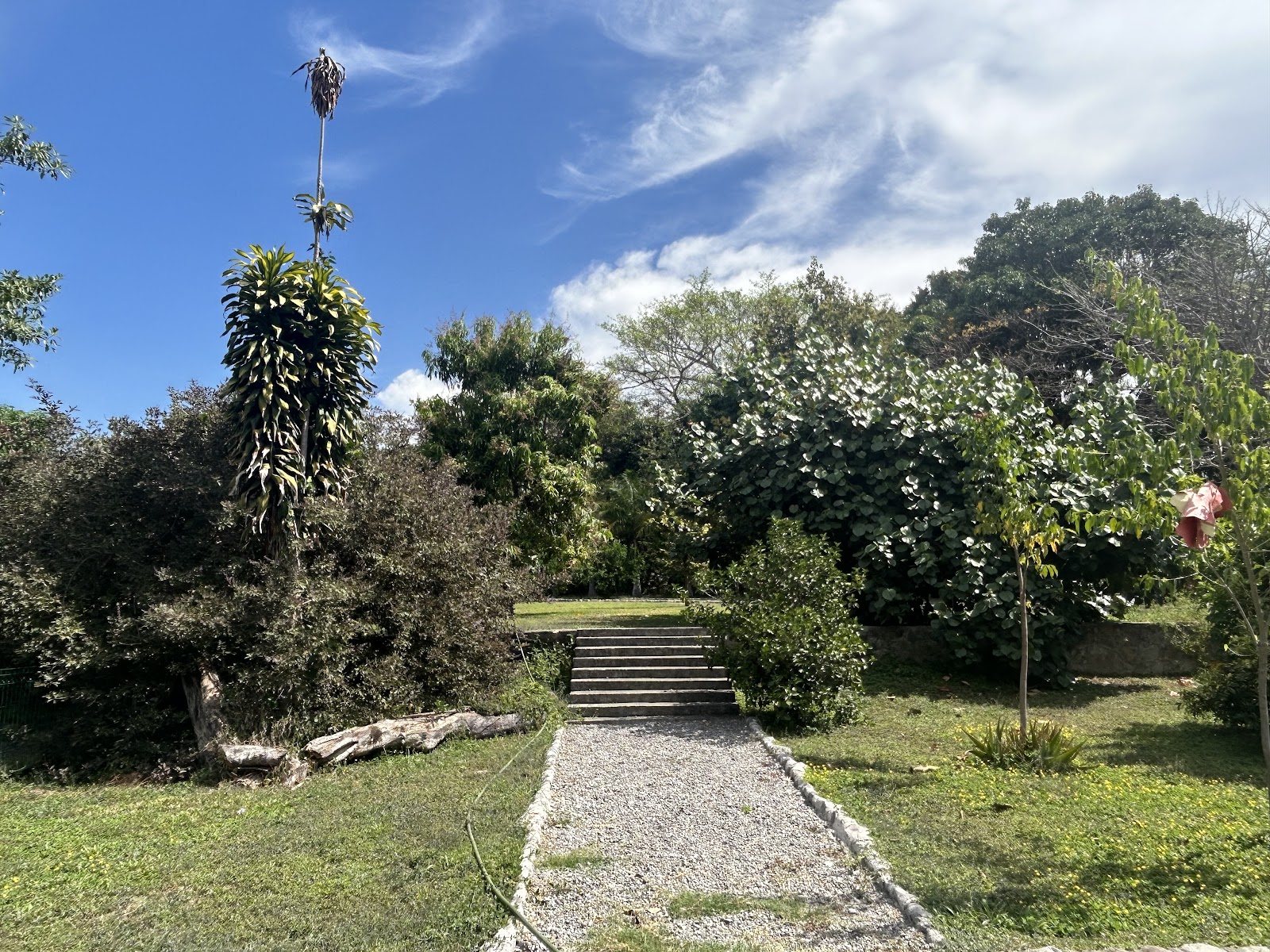 leetx-google-photo-81289-3 leetx-google-photo-81289-3