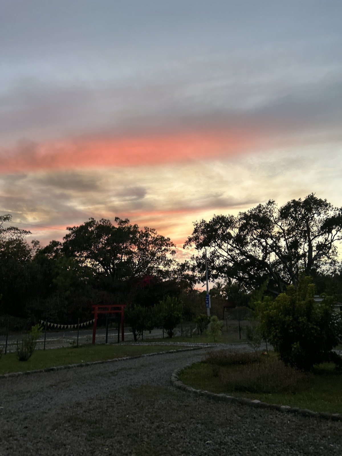 leetx-google-photo-81289-5 leetx-google-photo-81289-5