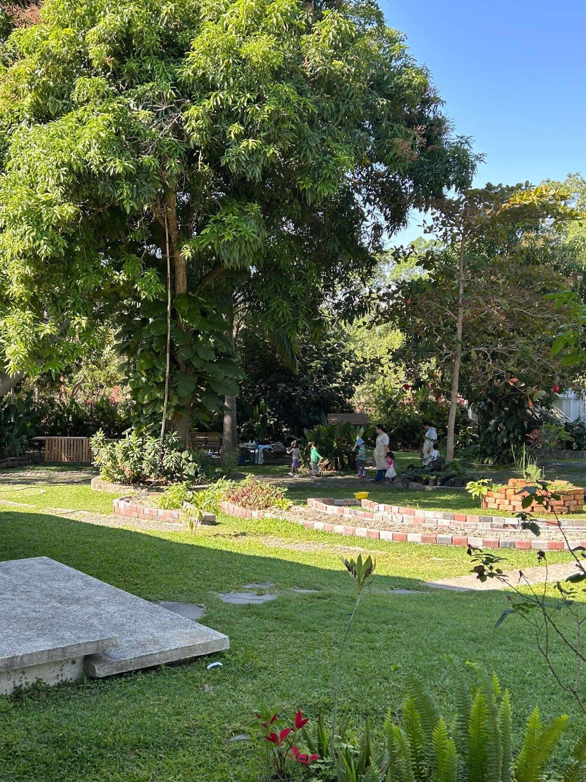 leetx-google-photo-81289-6 leetx-google-photo-81289-6