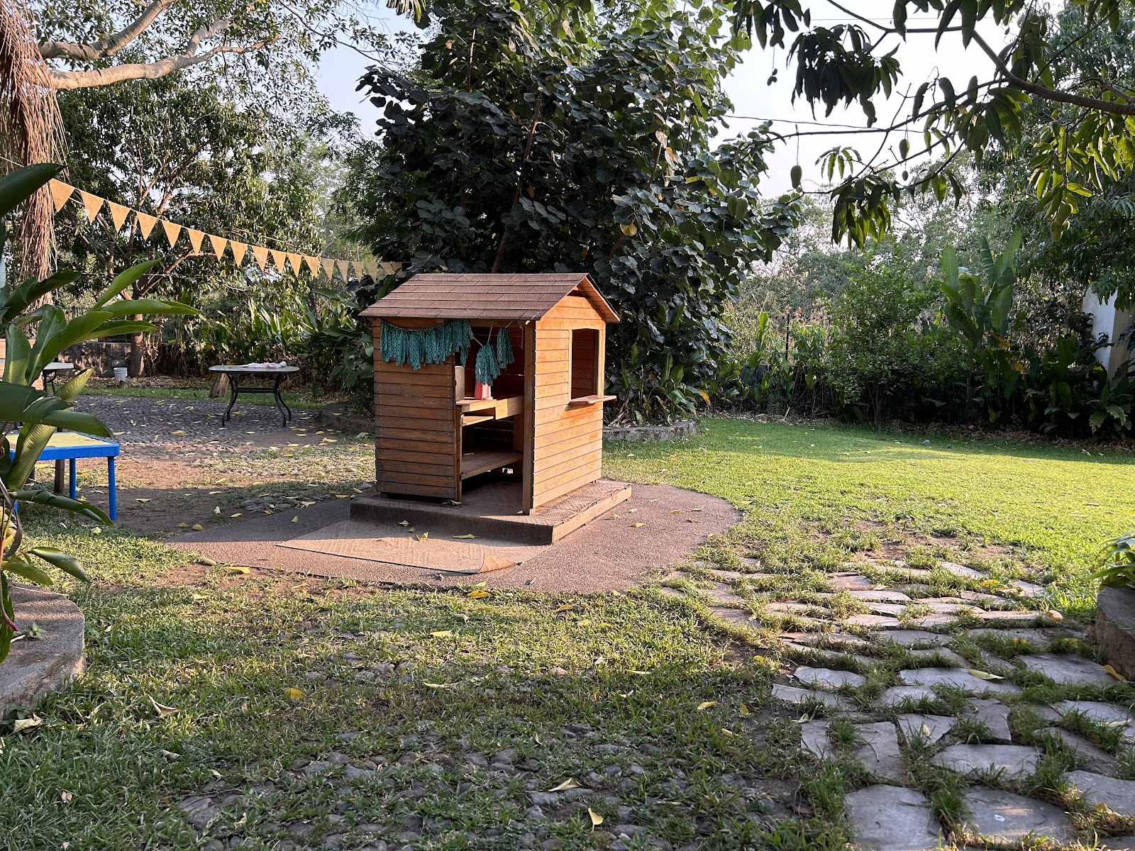 leetx-google-photo-81289-7 leetx-google-photo-81289-7