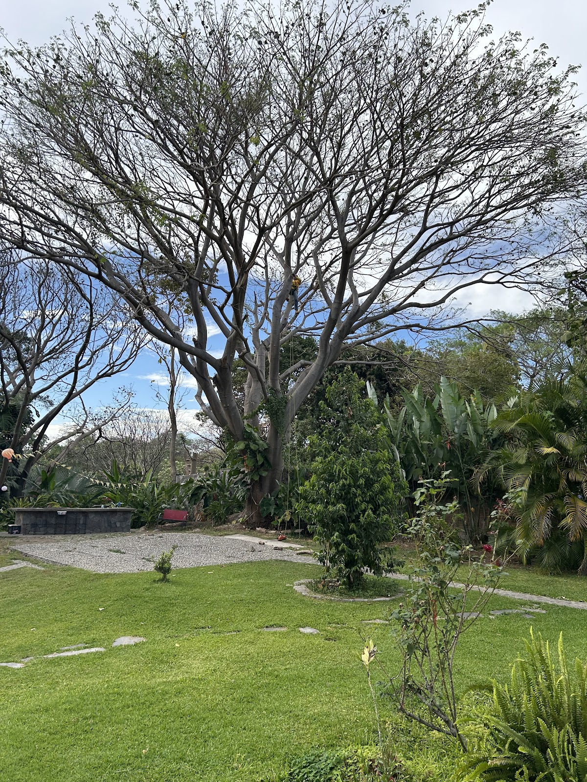 leetx-google-photo-81289-8 leetx-google-photo-81289-8