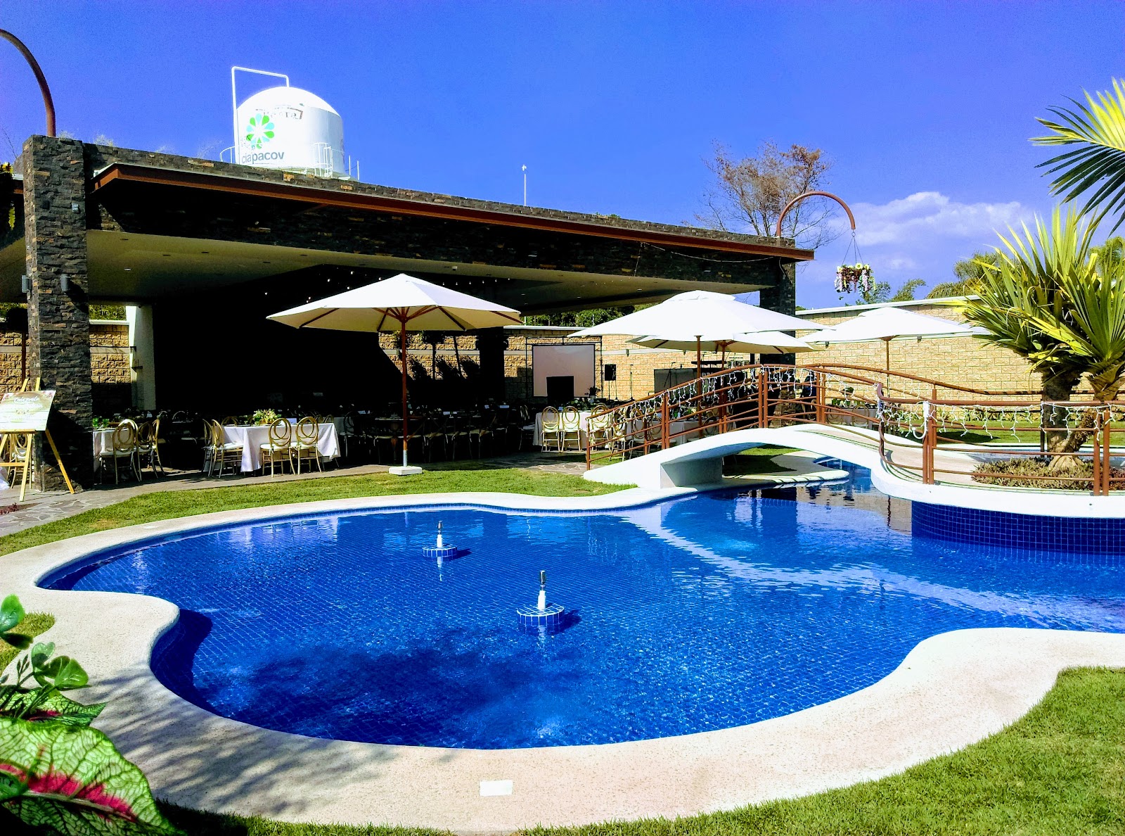 leetx-google-photo-81917-4 leetx-google-photo-81917-4