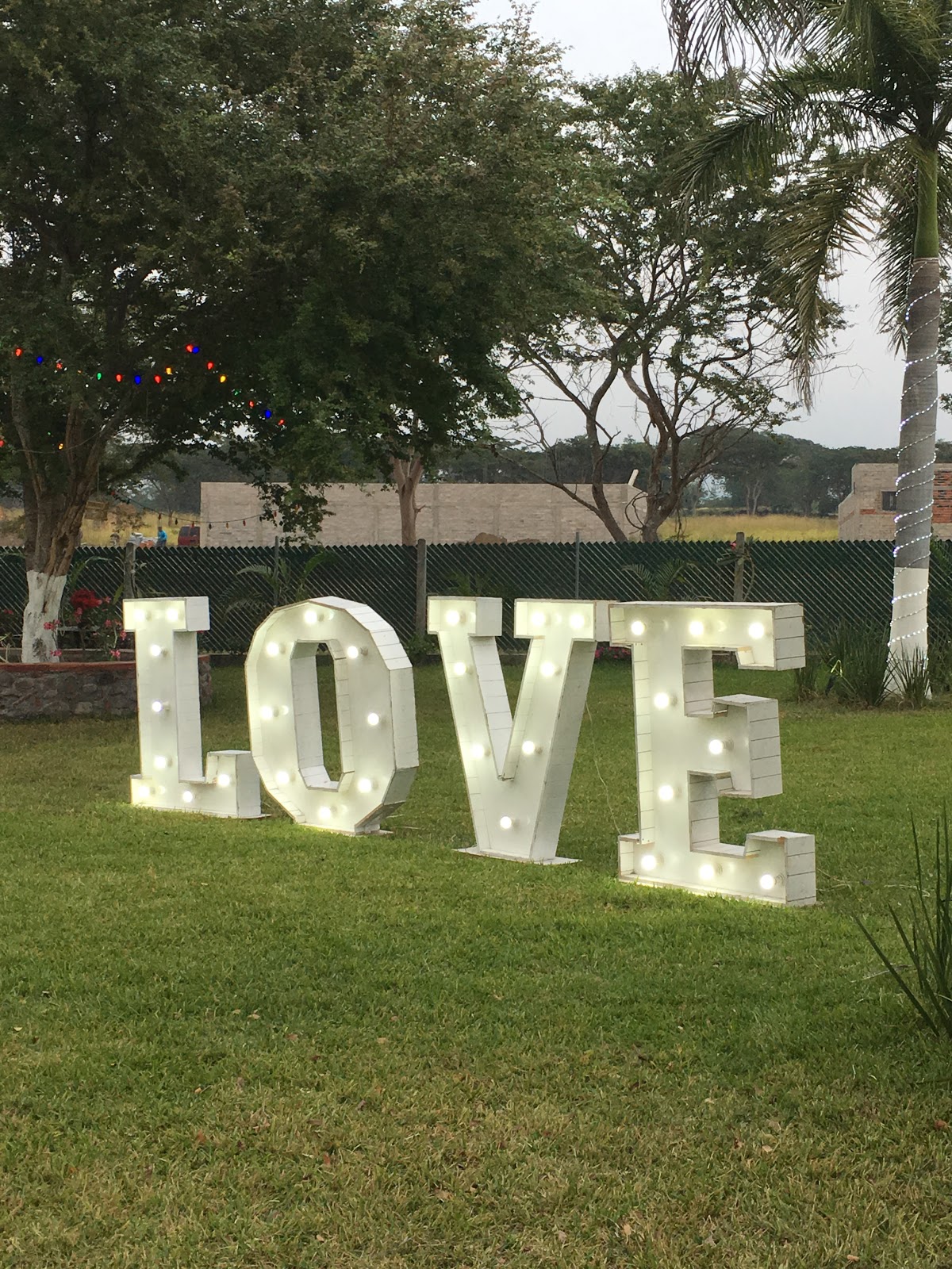 leetx-google-photo-81937-7 leetx-google-photo-81937-7