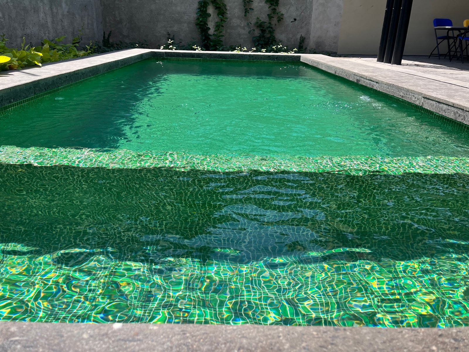 leetx-google-photo-81947-4 leetx-google-photo-81947-4