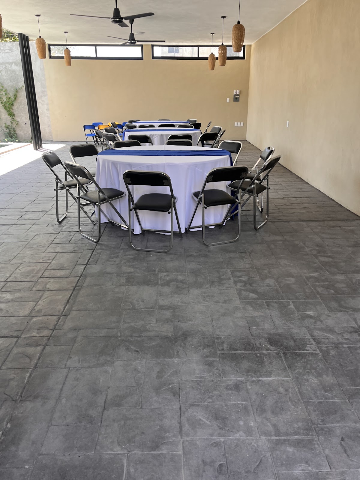 leetx-google-photo-81947-5 leetx-google-photo-81947-5