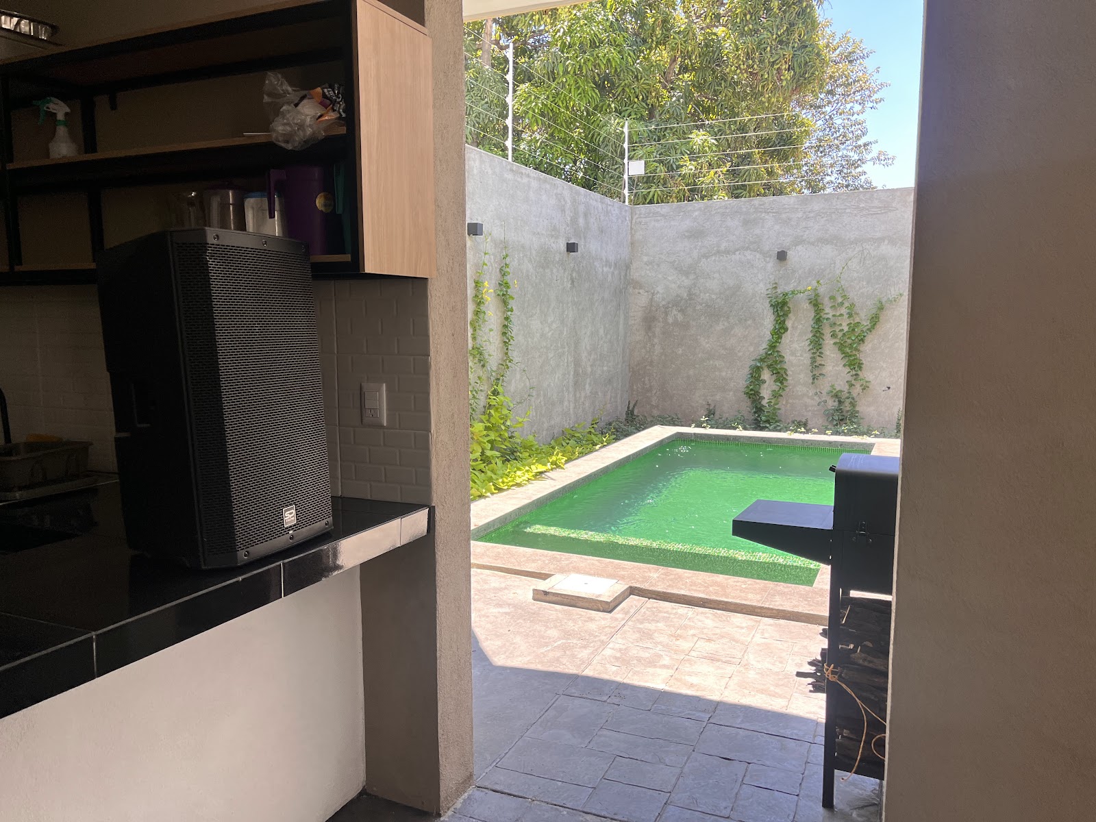 leetx-google-photo-81947-6 leetx-google-photo-81947-6