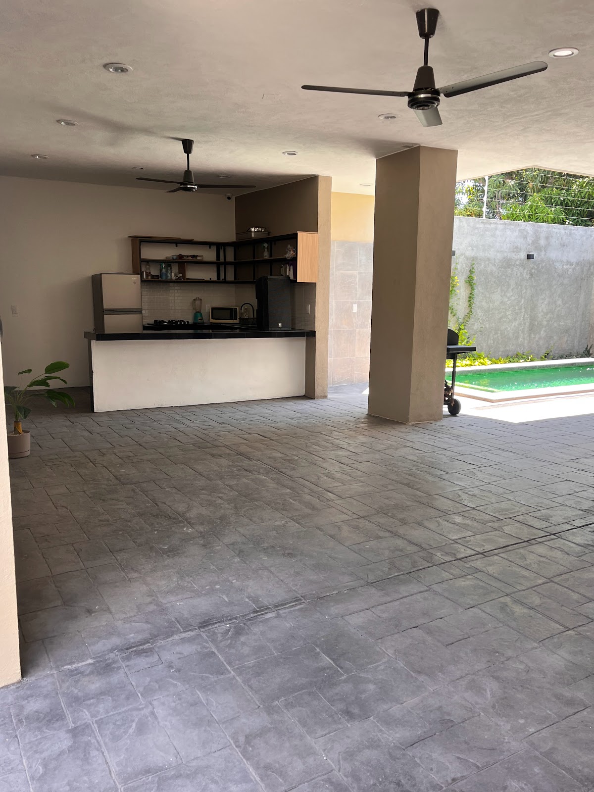 leetx-google-photo-81947-7 leetx-google-photo-81947-7